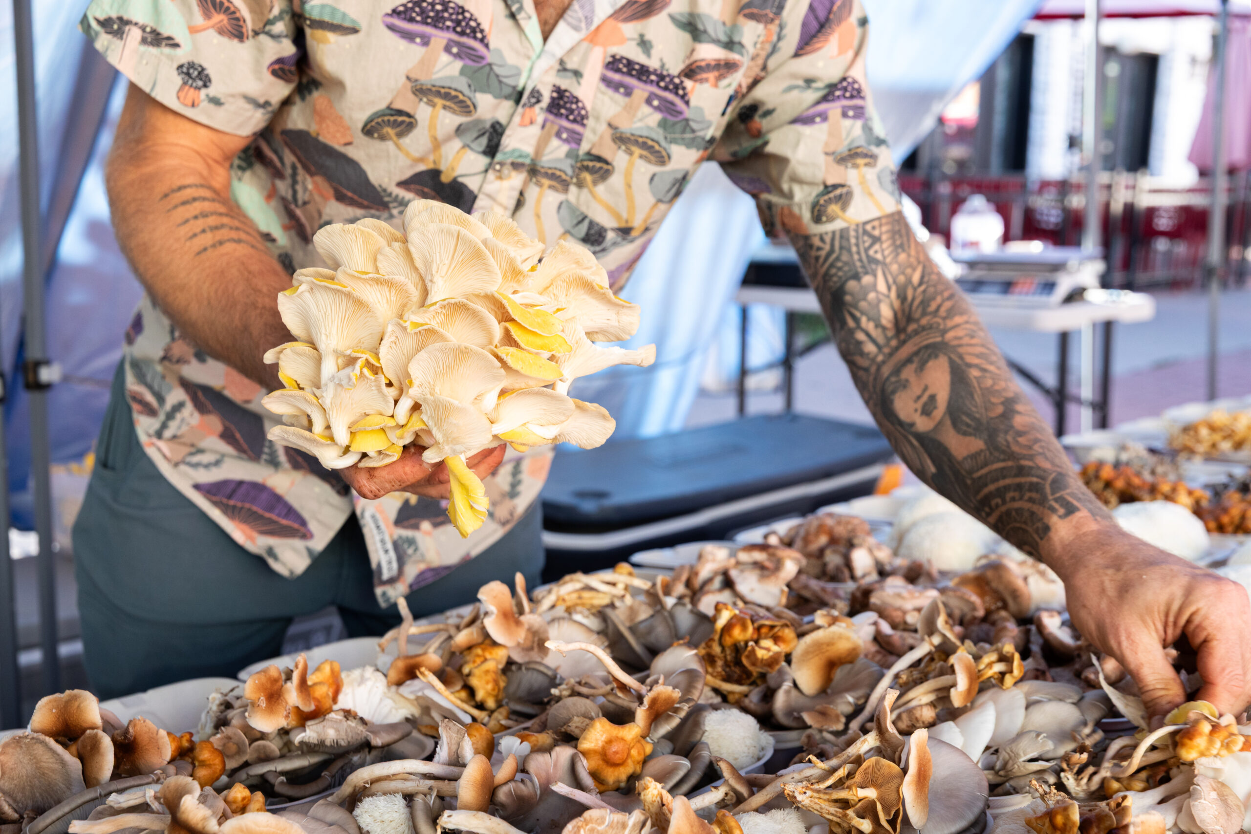 Matt Furst of Furst Class Fungi preparing for the South Pearl Street Farmers Market in Denver, CO. Matt is photographed preparing fresh mushroom boxes before customers arrive. Image taken by JL Marketing & Creative in Denver, CO.